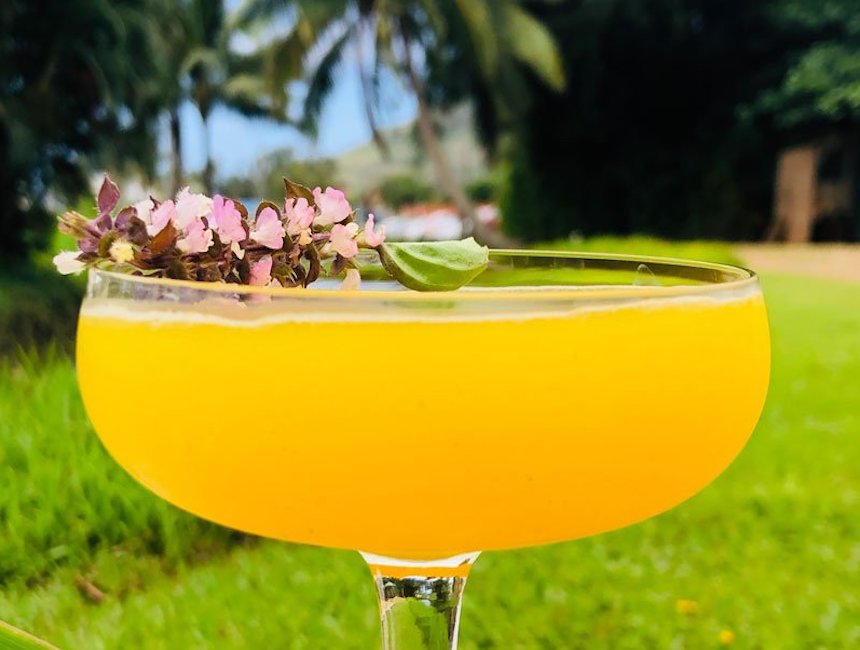 Tropical Bee's Knees Cocktail